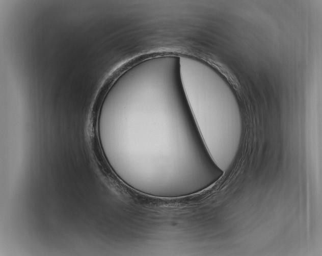 X0000111500628200907141044