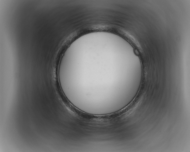 X0000111500633200907141044
