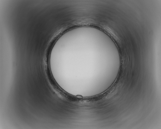 X0000111500634200907141044