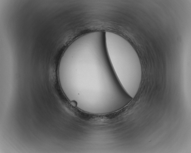 X0000111500642200907141044