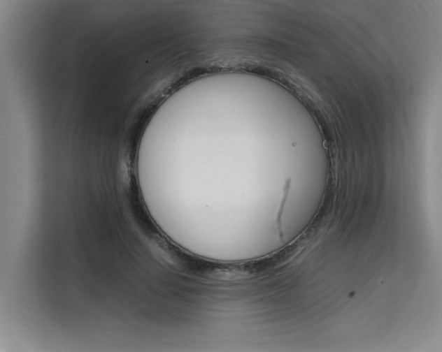 X0000111500644200907141044