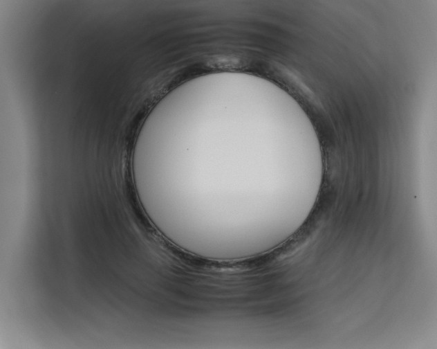 X0000111500645200907141044