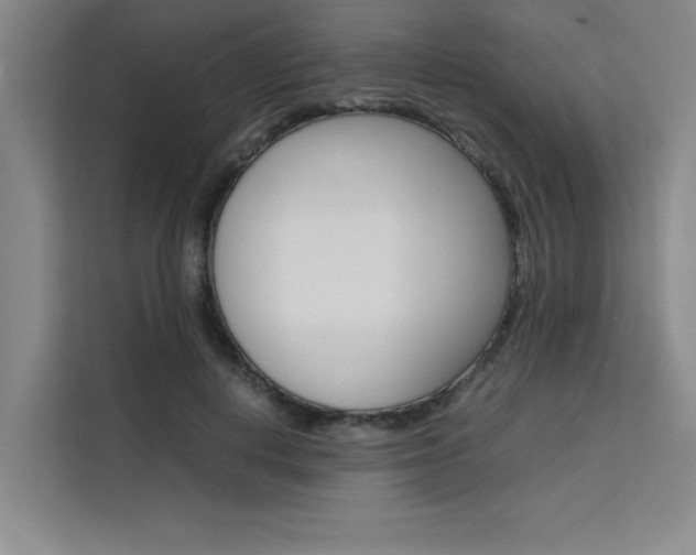 X0000111500648200907141044