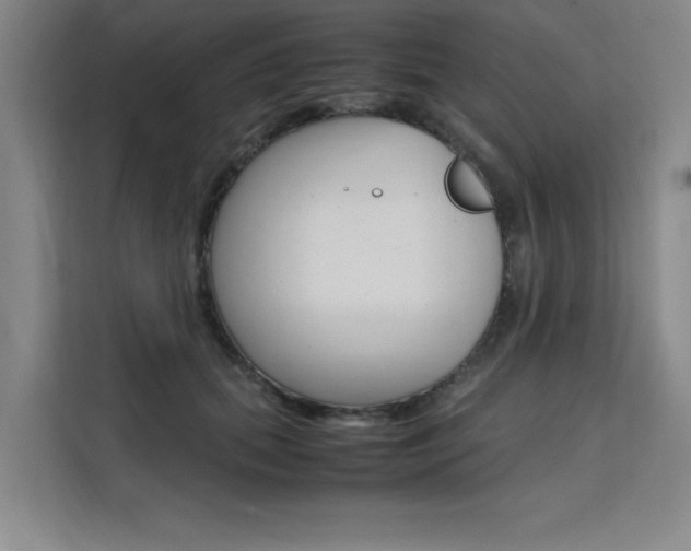 X0000111500655200907141044