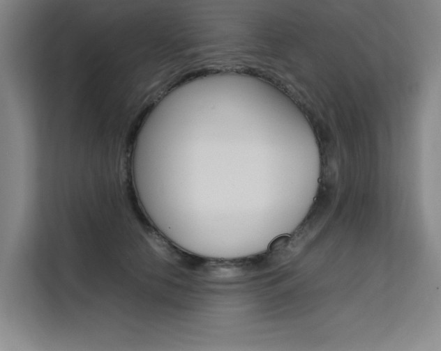 X0000111500658200907141044