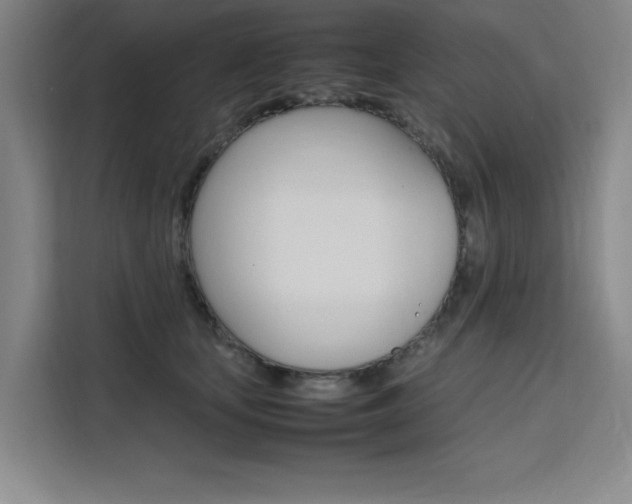 X0000111500659200907141044