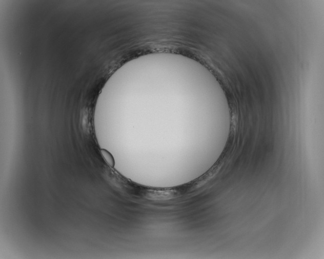 X0000111500671200907141045