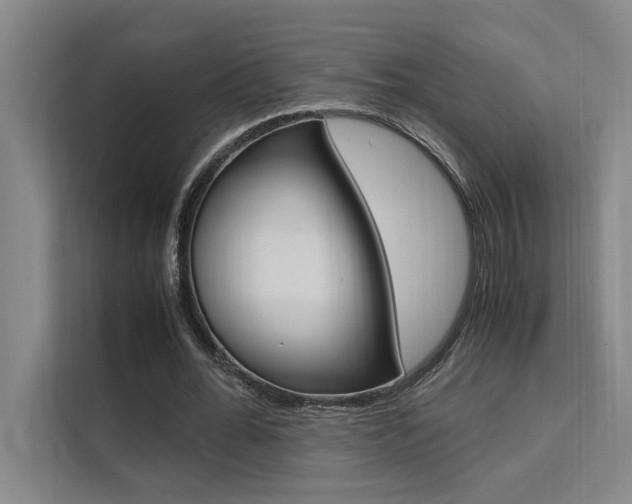 X0000111500676200907141044