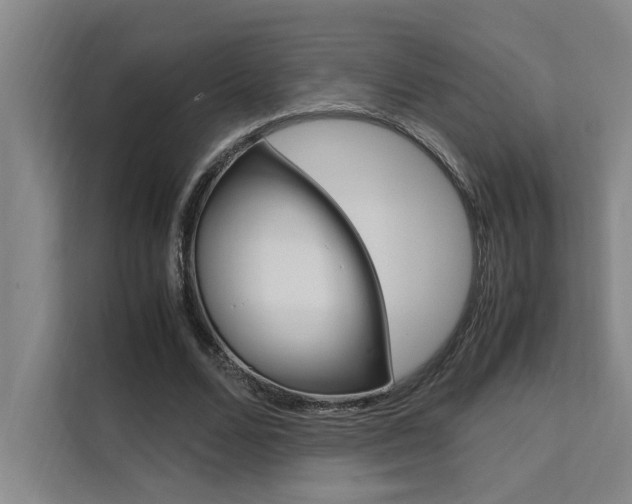 X0000111500680200907141044