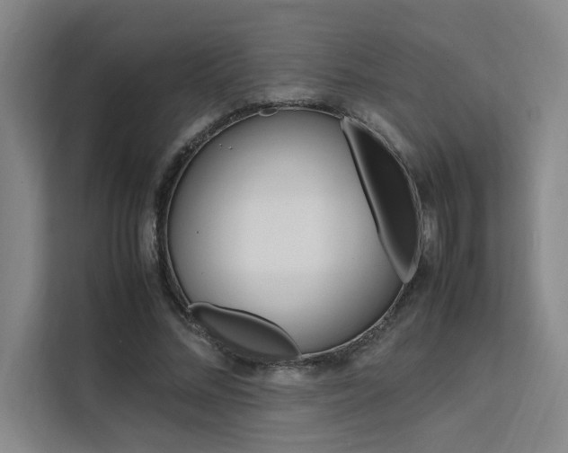 X0000111500684200907141044
