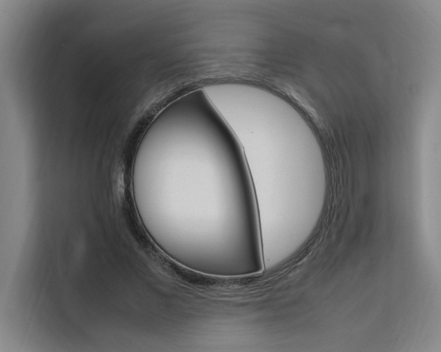 X0000111500685200907141044