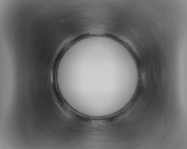 X0000111500686200907141044