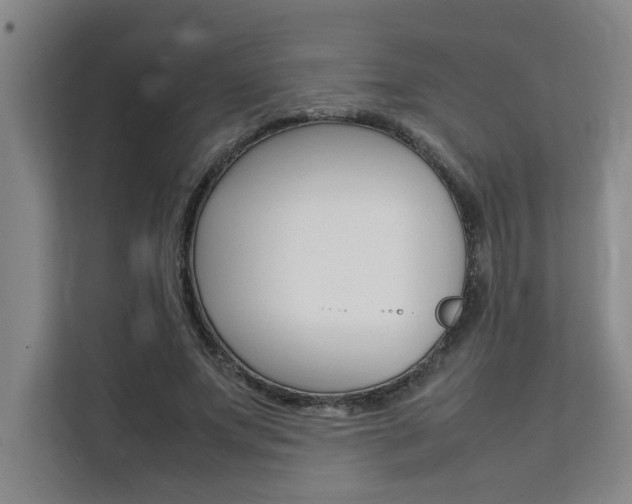 X0000111500687200907141044