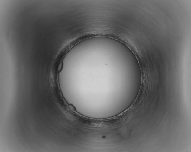 X0000111500688200907141044