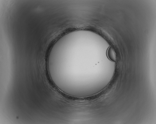 X0000111500689200907141044