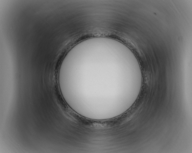 X0000111500690200907141044