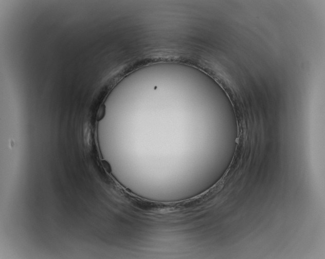X0000111500692200907141044
