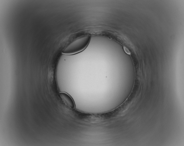 X0000111500697200907141044