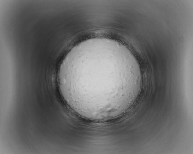 X0000111500698200907141044