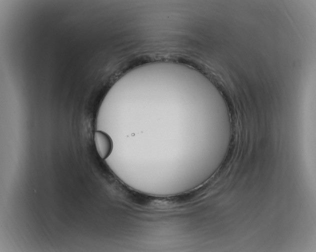 X0000111500699200907141044