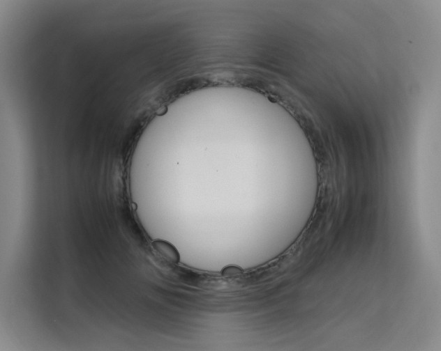 X0000111500702200907141044