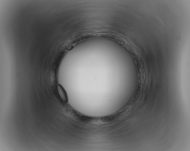 X0000111500704200907141044
