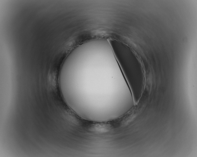 X0000111500708200907141044