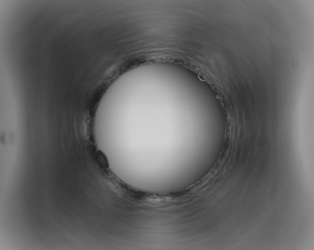 X0000111500712200907141043