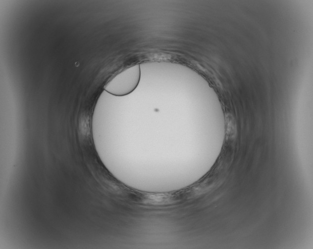 X0000111500713200907141043