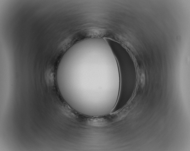 X0000111500716200907141043