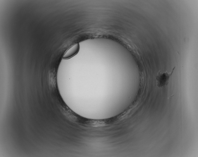 X0000111500719200907141043