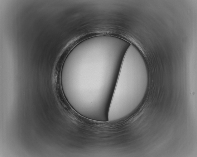 X0000111500723200907141043