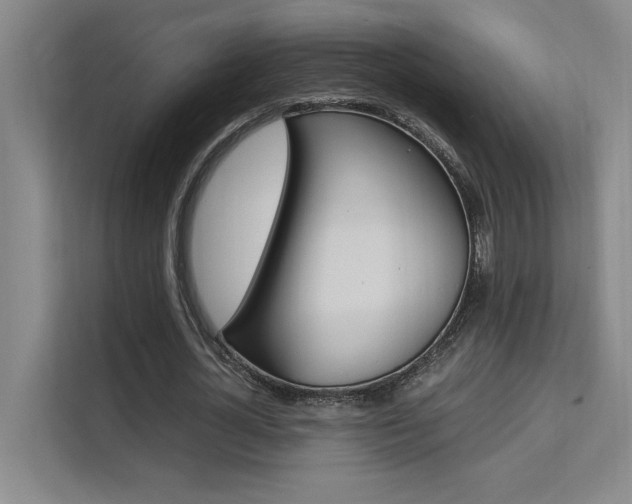 X0000111500724200907141043