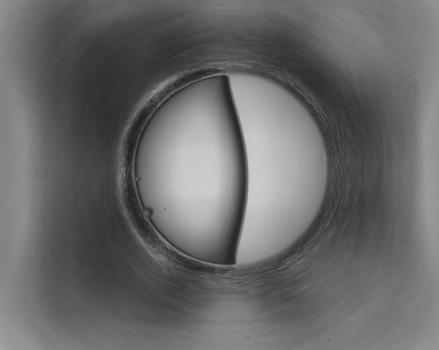 X0000111500728200907141043