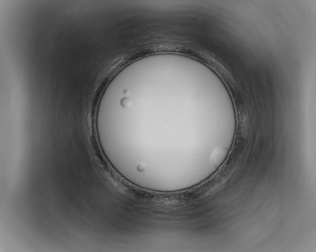X0000111500729200907141043