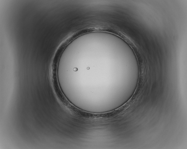 X0000111500730200907141043