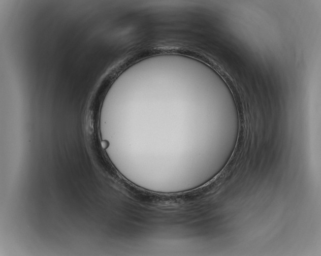 X0000111500731200907141043