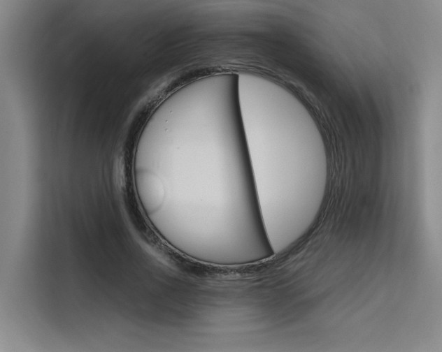 X0000111500734200907141043