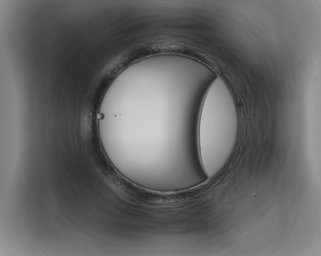 X0000111500735200907141043