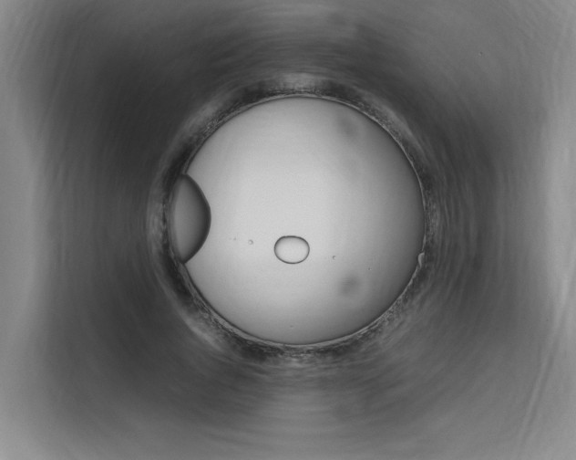 X0000111500736200907141043