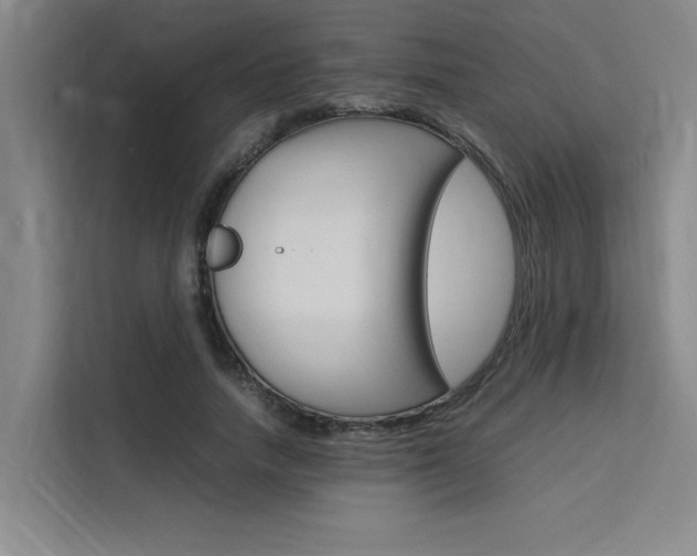 X0000111500738200907141043