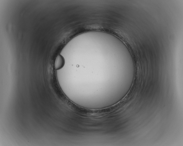 X0000111500739200907141043