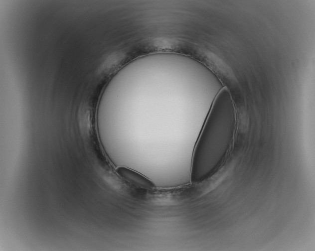 X0000111500740200907141043
