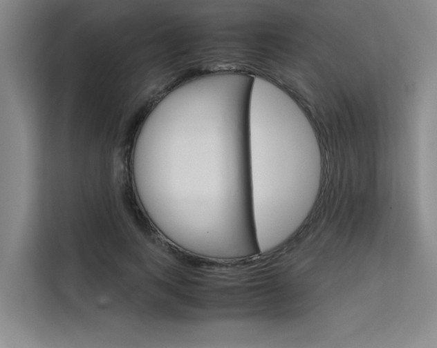 X0000111500743200907141043