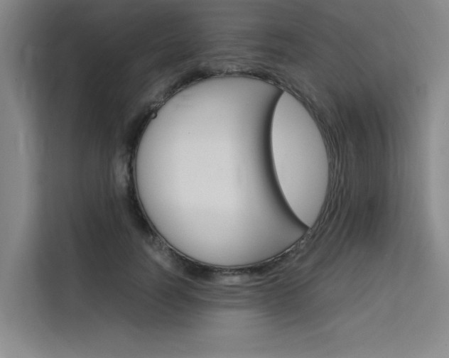 X0000111500746200907141043