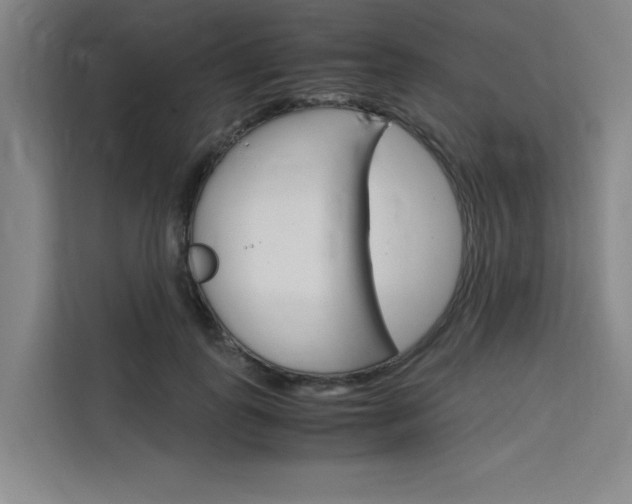 X0000111500747200907141043