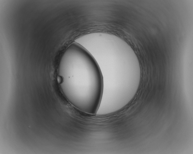 X0000111500750200907141043