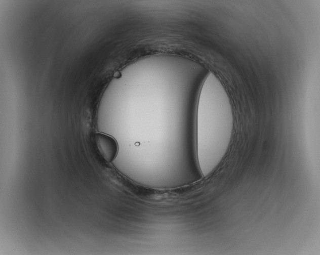 X0000111500752200907141043