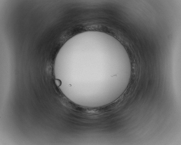 X0000111500753200907141043