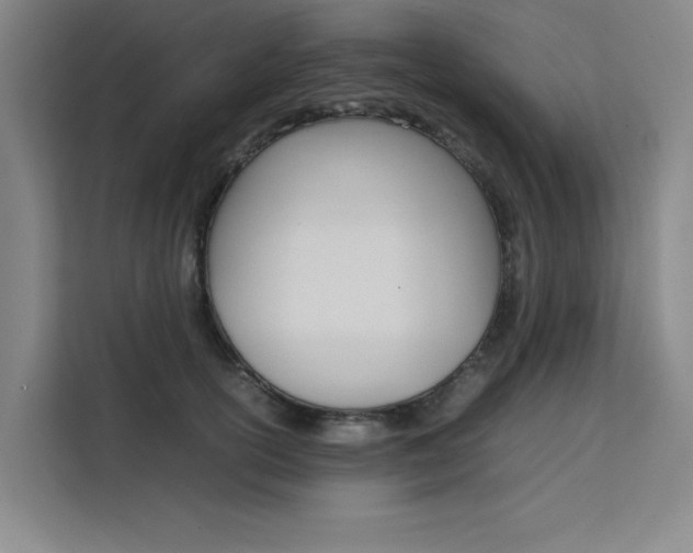 X0000111500754200907141043